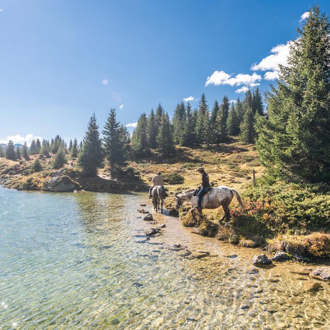 pferde am gewässer arosa | © Mattias Nutt Photography