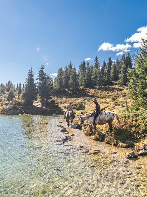 pferde am gewässer arosa | © Mattias Nutt Photography