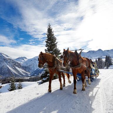 Pferdeschlittenfahren Arosa