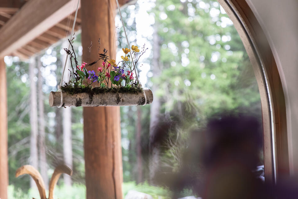 plants at the Waldhotel Arosa