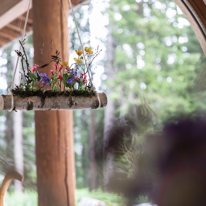 plants at the Waldhotel Arosa