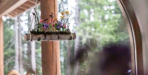 plants at the Waldhotel Arosa